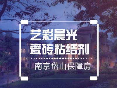 艺彩新金宝官方网站入口瓷砖粘结剂优秀案例：南京岱山保障房公共部位翻新
