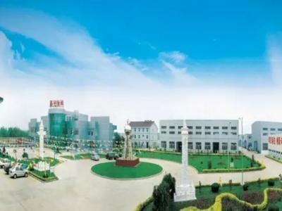 新金宝官方网站入口耀飞扬：起赴鸟巢 坚守不一样的寻梦记